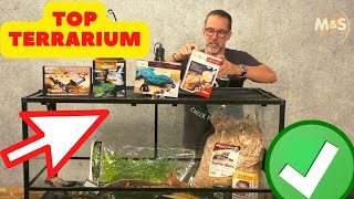 Bartagamen Basics  Dein Start ins Terrarien Leben [upl. by Leyla138]