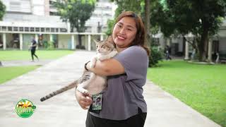 AVLI Biocares Cat Corner on AgriTV  Episode 6 DLSUPUSA Volunteer [upl. by Neelhtak467]