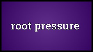 Root pressure Meaning [upl. by Suoicerp]