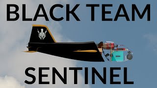 Sentinel UAV  Black Team 2019  Speedfest IX [upl. by Balkin]