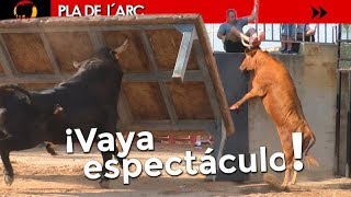 TOROS QUE SALTAN TODO LO QUE SE LES PONE POR DELANTE  PLA DEL ARC 20072018  GERMÁN VIDAL [upl. by Ecinreb]