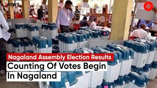 Nagaland Assembly Election Results 2023 Counting Of Votes Begin Early Leads For BJP [upl. by Dor765]