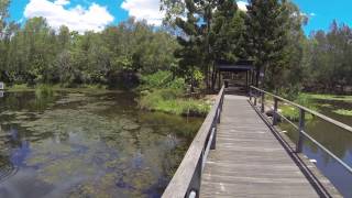 Edenbrooke Bikeway Reserve Seventeen Mile Rocks QLD  dogexplorercomau [upl. by Sammer]