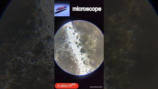 AP MICROSCOPE 52howtomicroscopemicroscopeparts colgateofmicroscopemicroscopeinhindisince [upl. by Ainex]