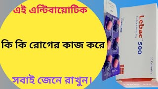 Lebac 500 এর কাজ কি  lebac 500 mg capsul bangla  সেফ্রাডিন এর কাজ [upl. by Laird]