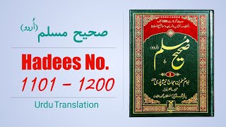 Sahih Muslim Hadees No 1101 to 1200 Urdu Translation  Sunnat Pak [upl. by Latrice]