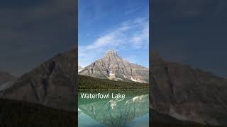 World famous Icefields Parkway drive short [upl. by Yllen808]