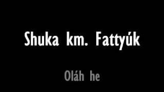 Shuka km Fattyúk  Oláh he prod by KillaKen [upl. by Leitman]