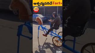 Interesting facts in telugu  funny fact videos  facts  funny  D2D  intresting  love  ❤️ [upl. by Briny]