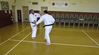 Goju Ryu Karate  Partner Drill [upl. by Kcirret]