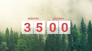 35 Minute Timer Showing Nature and Relaxing Clock Tick Sound [upl. by Udella]