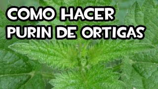 Cómo Hacer el Purin de Ortigas  Paso a Paso [upl. by Bilac]