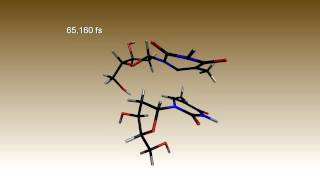 Repair of cyclobutane thymine dimer [upl. by Soph]