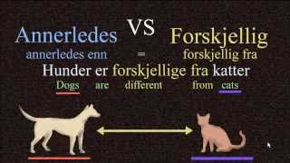 Annerledes VS Forskjellig  Norwegian Language Bokmål [upl. by Annetta643]