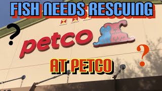 Rescuing FISH at PetCo [upl. by Elehcin]