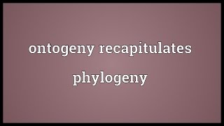 Ontogeny recapitulates phylogeny Meaning [upl. by Novit]