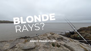 In Search For The Ray That Everyone Wants  Blonde Ray  South Wales Friars Point Barry [upl. by Jak884]