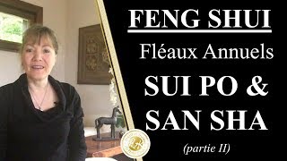 NE REGARDE PAS CETTE DIRECTION  fléaux Feng Shui 2019 [upl. by Ecirum967]