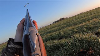 Goose hunting  Smoking barrels [upl. by Ennahtur767]