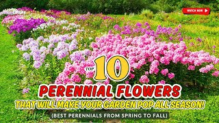 🌼 10 PERENNIAL FLOWERS THAT WILL MAKE YOUR GARDEN POP ALL SEASON 🌸🌷🍁 [upl. by Mcnamee]