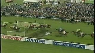 Abandoned Grand National 1993 BBC Highlights Horse Racing [upl. by Yroggerg671]