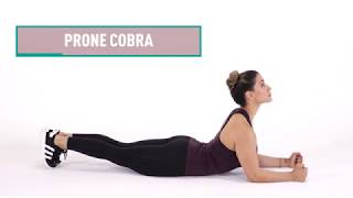 Prone Cobra  Core Workout [upl. by Tarah]