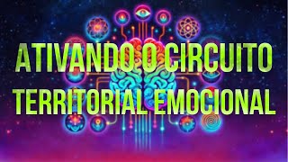 O Circuito Territorial Emocional com Rodrigo Vignoli [upl. by Kelton301]