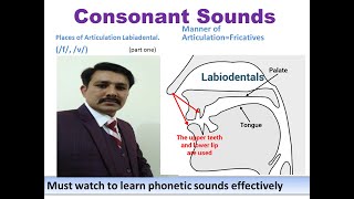 consonant sounds labiodental f v part 1 [upl. by Hennahane]