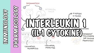 Immunology  Interleukin 1 IL1 physiology and IL1 antagonist pharmacology [upl. by Gnal]