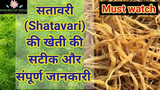 सतावर की खेती कैसे करें  How to Grow Shatavar  Shatavari Ki Kheti  Farmer of India [upl. by Nepsa]