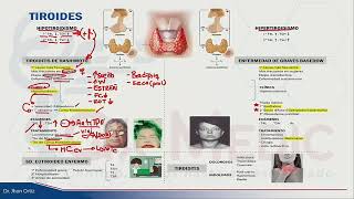 ENDOCRINOLOGÍA  TIROIDES [upl. by Ardnek]