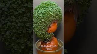 Growing Chia Seeds  timelapse chiapet [upl. by Zildjian]