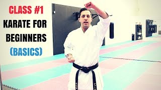 Martial Arts for Beginners – Lesson 1  Basic Karate Cobra Kai Techniques [upl. by Rab838]