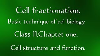 Cell fractionation Technique used in Cell BiologyClas 11،chap1 Cell structure and function [upl. by Nnor360]