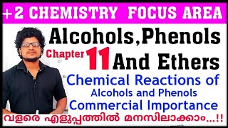 Chemical reactions of Alcohols and Phenols Plus two chemistry chapter 11 focus area  Lucas Test [upl. by Orsini]