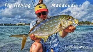 Fly Fishing on the flats Mahahual [upl. by Gladi195]