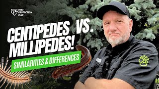 Centipedes VS Millipedes [upl. by Lytton]