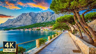 Brela Croatia 🇭🇷 4K Makarska Riviera Walking Tour Beaches and Promenade 2023 [upl. by Iridis162]