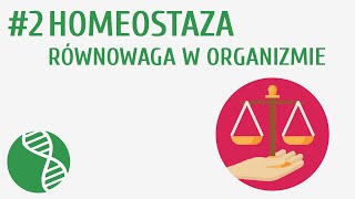 Homeostaza równowaga w organizmie 2  Homeostaza [upl. by Eybba]