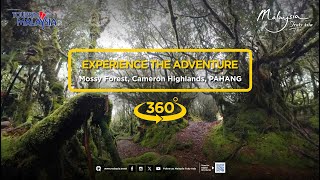 Mythical Cameron Highlands Mossy Forest in Stunning 360° [upl. by Silloc237]