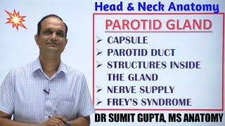 PAROTID GLAND Part2  Capsule  Duct  Nerve supply  Freys syndrome [upl. by Camfort]