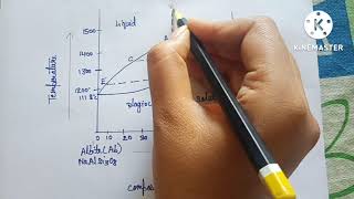 BINARY SYSTEM  SOLID SOLUTION AbAn SOLID SOLUTIONएल्बाइट एनोर्थाइट सॉलिड सॉल्यूशनबायनरी सिस्टम [upl. by Ecerehs142]