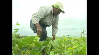 Lista Cienfuegos para festejar Día Internacional de la Mujer Rural [upl. by Frederick]