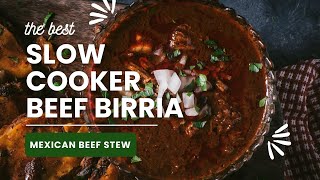 How to Make Slow Cooker Crockpot Beef Birria  A Flavorful Mexican Stew [upl. by Oliy]