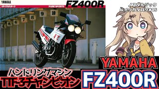 【YAMAHA FZ400R】記録にも記憶にも残る初代TTF3チャンピオンマシン！ [upl. by Isa]