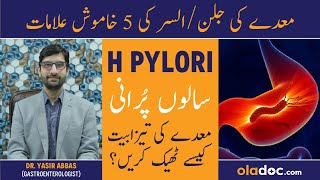 Maida Ka Ulcer Kya Hota Hai  H Pylori Treatment In Urdu  Stomach Ulcer Symptoms  H Pylori Ka Ilaj [upl. by Atiraj228]