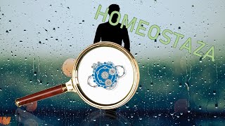 Homeostaza  Homeo co [upl. by Liggett]