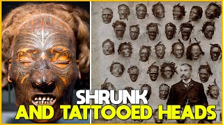 The Cultural Phenomenon of Shrunken Heads in New Zealand [upl. by Margarethe]