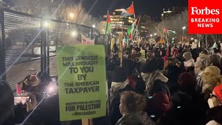 WATCH ProPalestinian Demonstrators Protest Outside The White House [upl. by Arec]