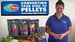 Converting your bird to pellets [upl. by Petras]